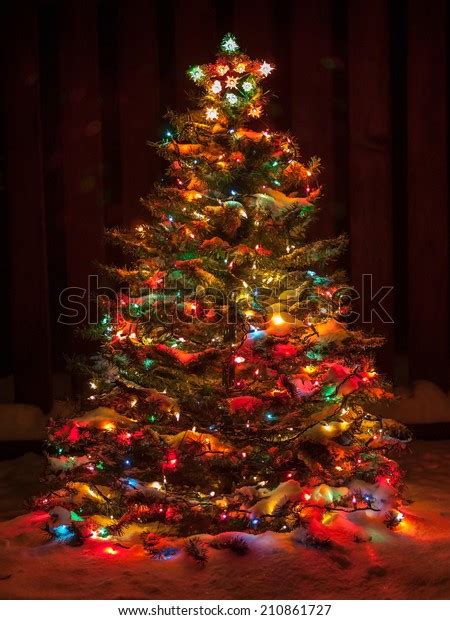 Snow Covered Christmas Tree Multi Colored Stock Photo Edit Now 210861727