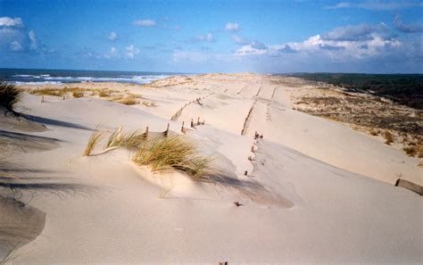 La Gestion Des Dunes Par Lonf Dune Littorale Aquitaine