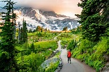 Hiking the JAW-DROPPING Skyline Loop Trail at Mt. Rainier National Park
