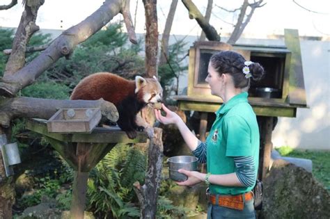 Caring Zookeepers Self Isolated At Zoo To Take Care Of The Animals