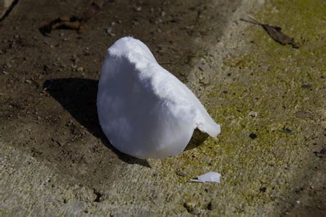 Check out our wattepads selection for the very best in unique or custom, handmade pieces from our красота и уход shops. Zunder aus Wattepads selbst herstellen | Outmag