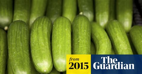 British Cucumbers On Brink Of Extinction Say Growers Business The