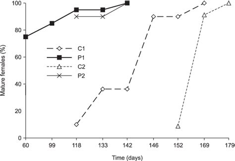 Sexual Maturation Patterns Of Females In The Control C 1 C 2 And Download Scientific