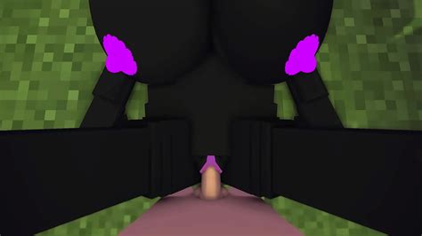 Minecraft Encounter With An Enderwoman Xvideos