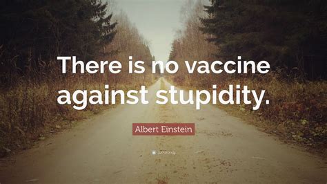 The universe and the human stupidity. Albert Einstein Quote: "There is no vaccine against ...