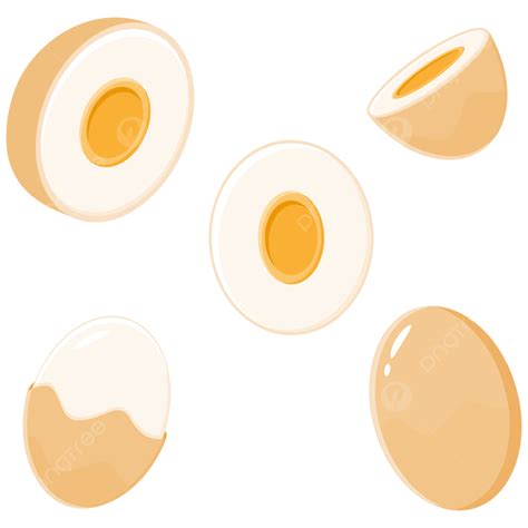 Gambar Berbagai Jenis Bentuk Telur Telur Makanan Ayam Png Dan Vektor