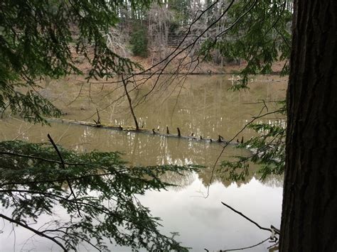 Lake Cohasset Lake Nature Hiking