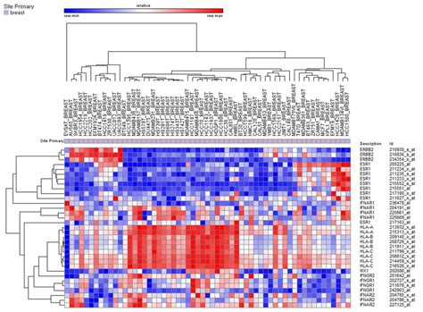 Unsupervised Hierarchical Clustering Of Breast Cancer Cell Lines In The