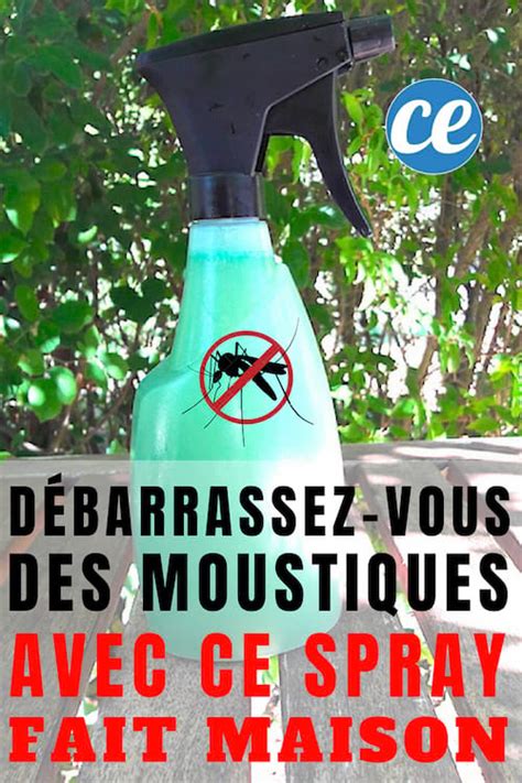 Débarrassez Vous Des Moustiques Dans Le Jardin Avec Ce Spray Fait Maison