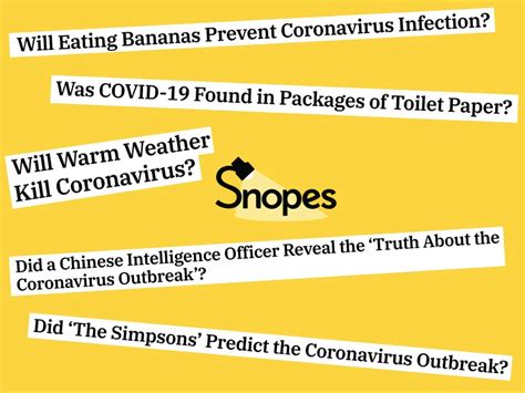 The Ceo Of Fact Checking Site Snopes Was Caught Plagiarizing Dozens Of Articles