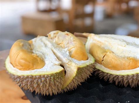8 Resep Olahan Durian Yang Unik Dan Menggugah Selera