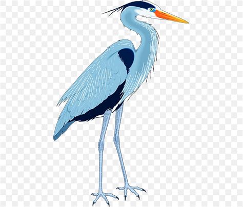 Great Blue Heron Drawing Clip Art Png 459x700px Heron Art Beak