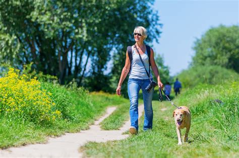 Shutterstock Woman Walking Dog Copy Oea Choice Trust