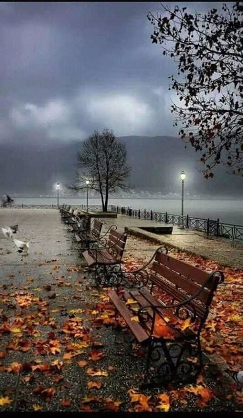 Pin By Jobingeorge On Rainy Night Autumn Scenery Beautiful