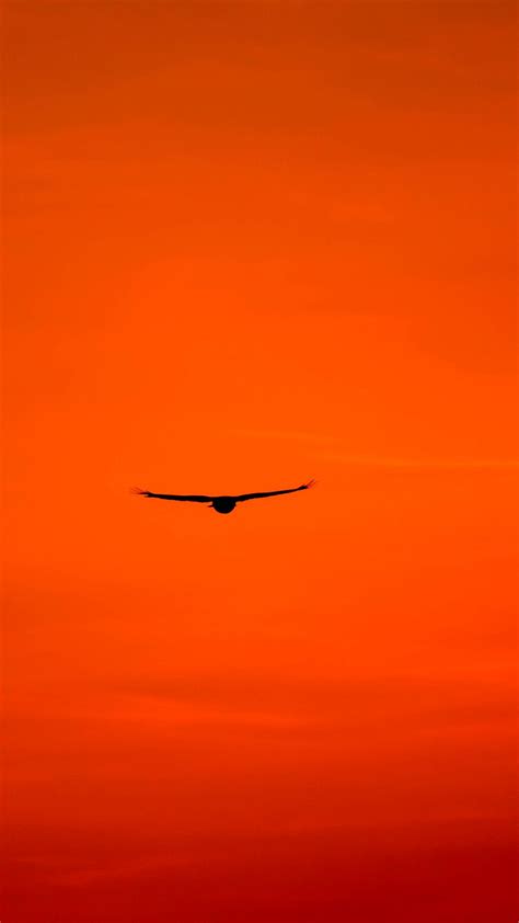 The painting may be purchased as wall art, home decor, apparel, phone cases, greeting cards, and more. Sunset, Scenic, Buzzard, Red Sky, Predator | Orange ...
