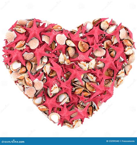 Heart Made Of Sea Shells Stock Illustration Illustration Of