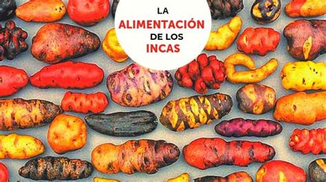 Alimentos De Los Incas Archivos Historia Del Perú