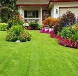 Home Depot Landscaping Services Photos