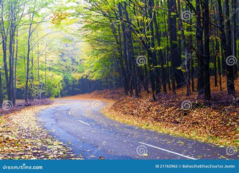 Beautiful Autumn Forest Road Winds In The Mountain Stock Photo Image