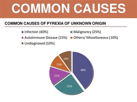 Pyrexia Of Unknown Origin Puo