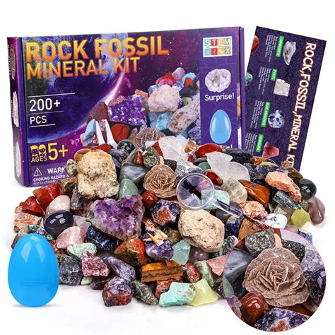Buy Rock Fossil And Mineral Kit Includes 200pcs Gemstones With Geodes