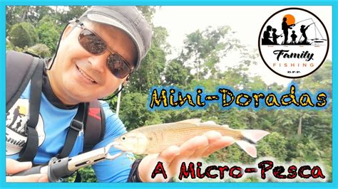 Practicando La Micro Pesca Ultralight Fishing Pesca De Mini Doradas