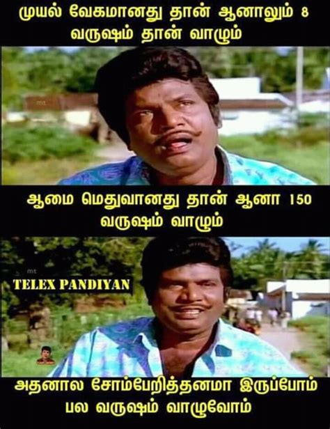 Top 154 Funny Tamil Memes Latest