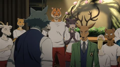 Crunchyroll Beastars Season 2s Worldwide Netflix Debut Set For July 2021