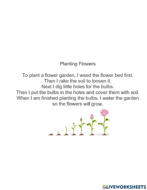 Planting Flowers Sequencing Worksheet Live Worksheets