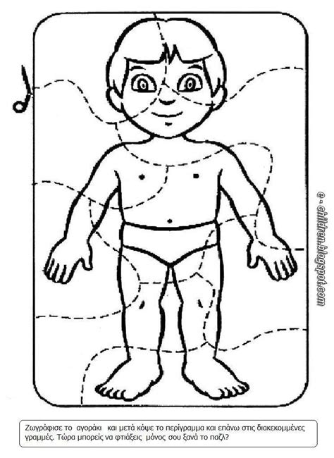 Dibujos Partes Del Cuerpo Humano Para Ninos De Preescolar Habitos De Images