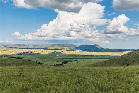 Seven Grasslands Wonders Wwf South Africa