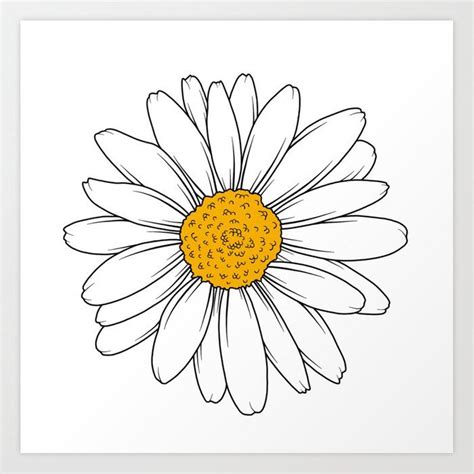 Simple Daisy Flower Art Print By Jamieleemaher Society Daisy