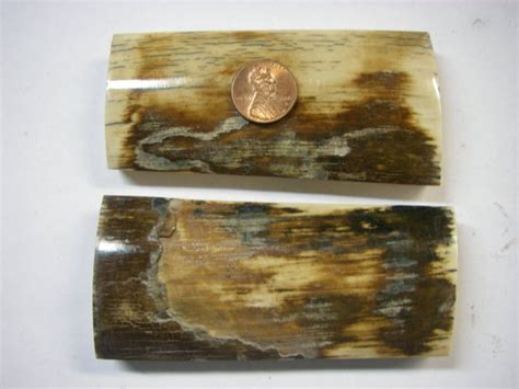 Fossil Mammoth Ivory Knife Scales
