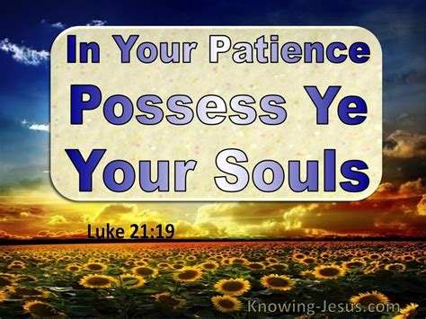 luke 21 19 in your patience posses ye your souls utmost 05 20
