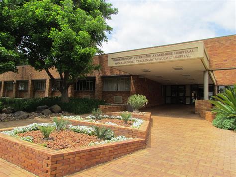 Veterinary Hospital University Of Pretoria