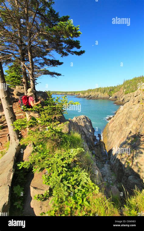 Cutler Coastal Trail Bold Coast Preserve Cutler Maine Usa Stock