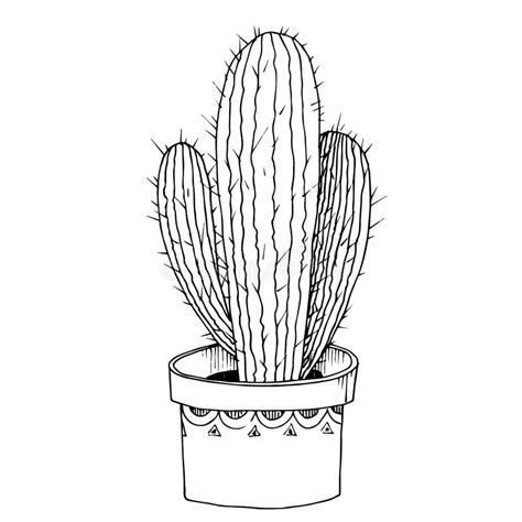 Vector Cacti Floral Botanical Flowers Black And White Engraved Ink Art