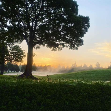 我謝レイラニさんのインスタグラム写真 我謝レイラニinstagram「早朝ゴルフの幻想的な姿、、🌳 ゴルフ始めてよかったのは‥定期的に自然のある場所に行けて、たっぷり自然を感じられる