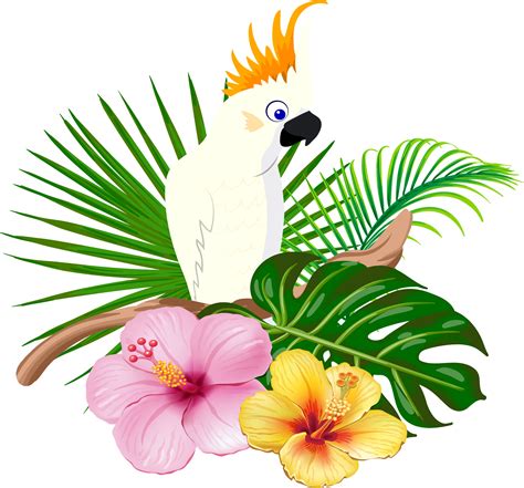 Parrot Clipart Bird Hawaiian Parrot Bird Hawaiian Transparent Free For