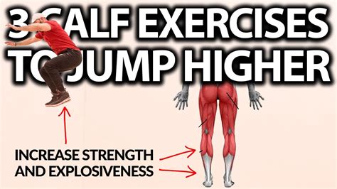 The 3 Best Calf Exercises To Jump Higher Youtube