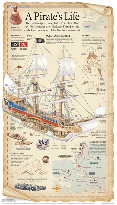 A Pirates Life During The Golden Age Of Piracy Infographic