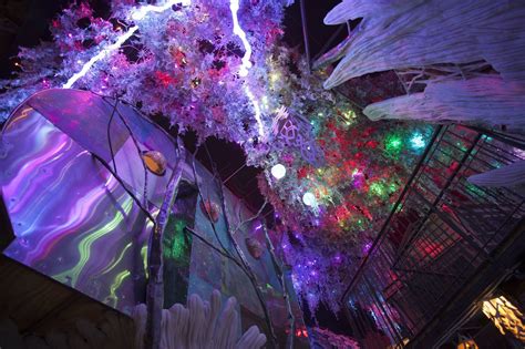 Meow Wolf Builds Fantastical Immersive Art — And Sustainable Models For
