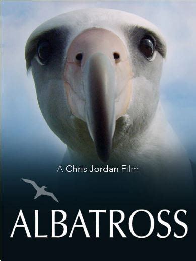 Albatross, a film by artist chris jordan, is a powerfully moving love story about birds on midway island in the pacific albatross is offered as a free public artwork. Environmental Protection and Recycling