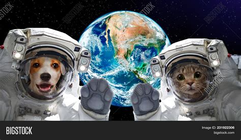Cat Dog Astronauts On Image And Photo Free Trial Bigstock