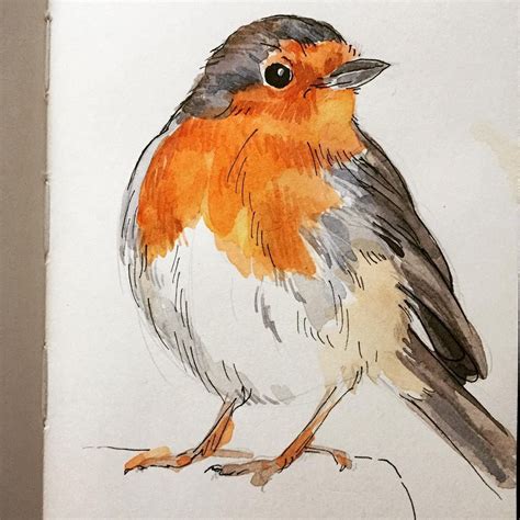 Robyn Henderson Nordstrom On Instagram Day 5 — Bird I Decided To