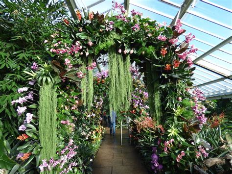 In fact, the site is a veritable tropical paradise as orchids and other striking flora bloom in every corner of its. 15 Photos Of The Fantastically Colourful Kew Gardens ...