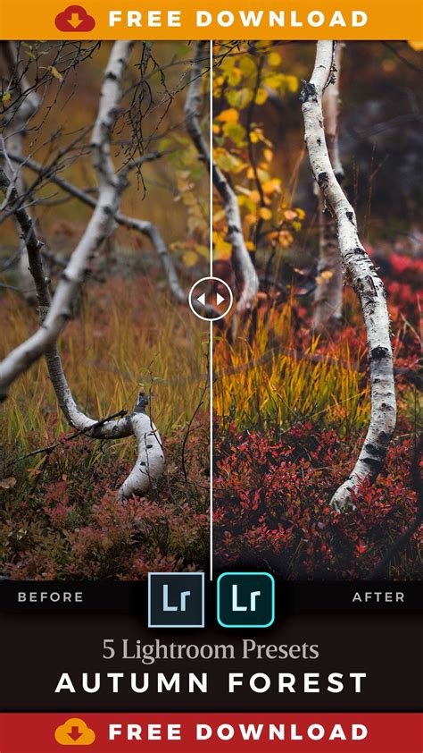 Use these free presets to give your autumn landscapes a dreamy and warm look and really make the beautiful leaves stand out. FREE Autumn Forest Lightroom Presets | See