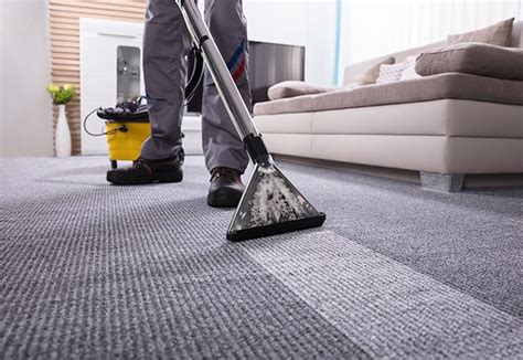 Higienização De Carpetes Principais Benefícios Zellus Services