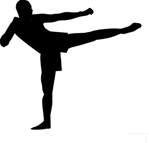 Kickboxing Png Transparent Image Download Size 750x720px
