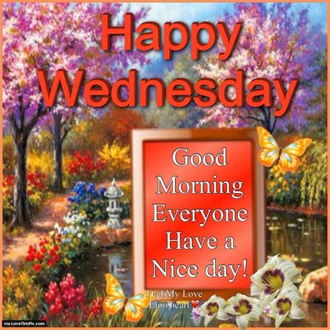 Happy Wednesday Good Morning Everyone Have A Nice Day Good Morning Wednesday Happy Wednesday